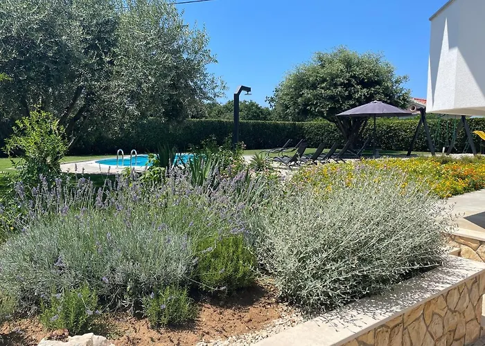 Sunny Apartments